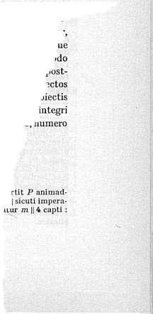 une page de livre d�chir�e